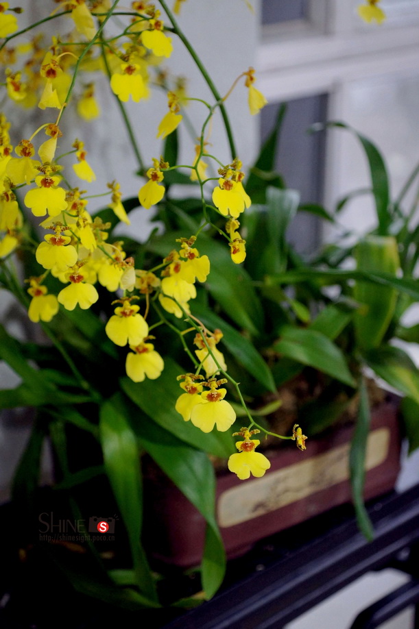DSC03756_调整大小.JPG