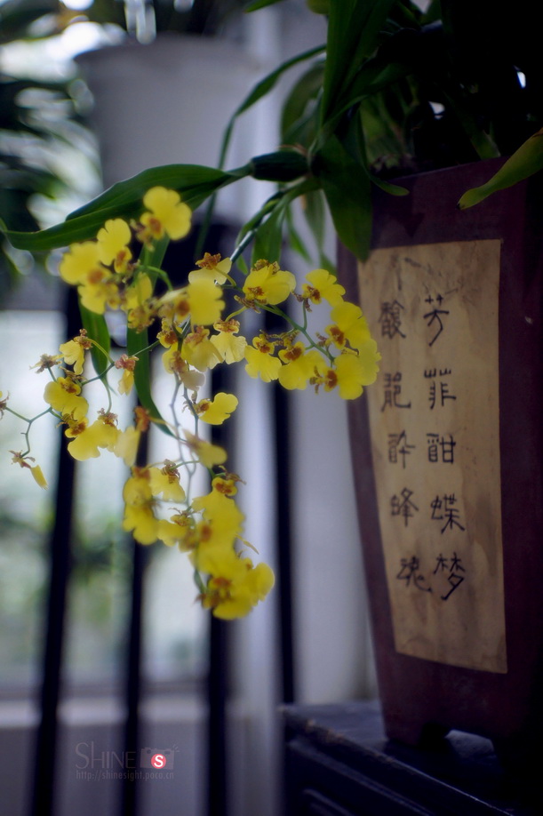 DSC03764_调整大小.jpg