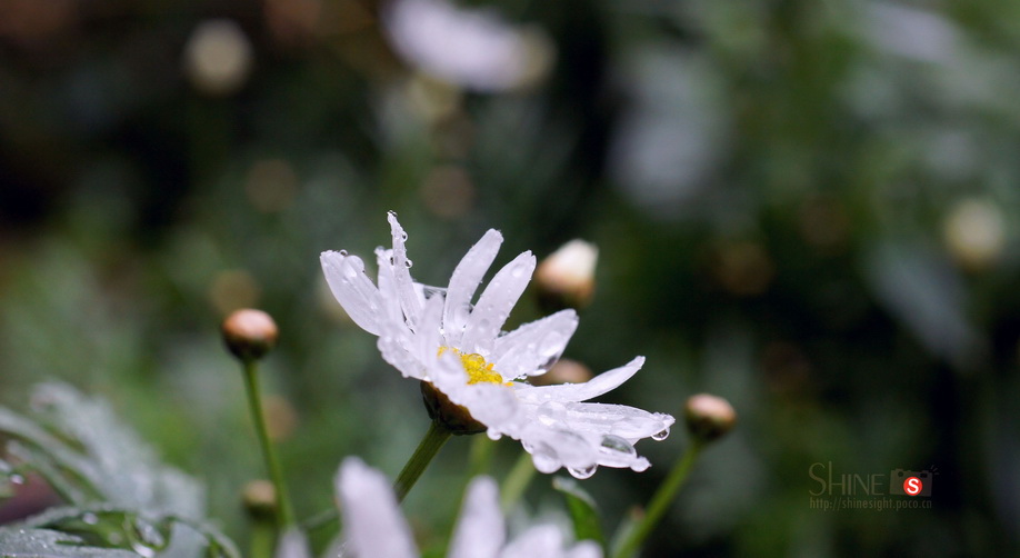 DSC03772_调整大小.jpg