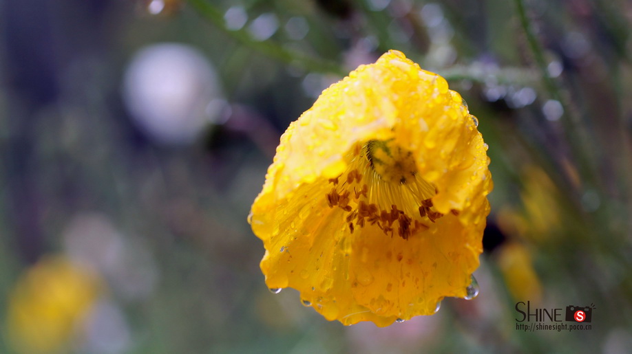 DSC03778_调整大小.jpg