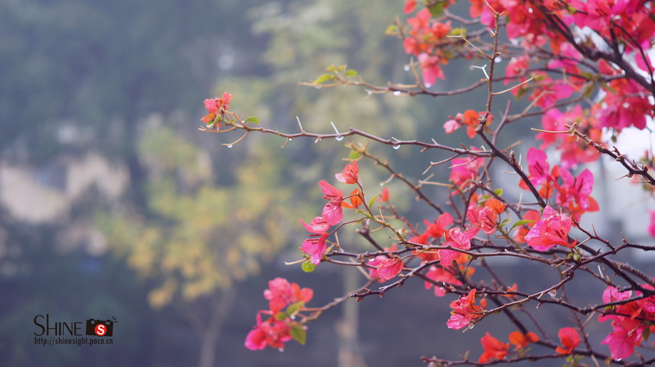 DSC03727_调整大小.JPG