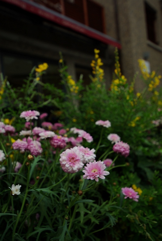 SG100880.JPG