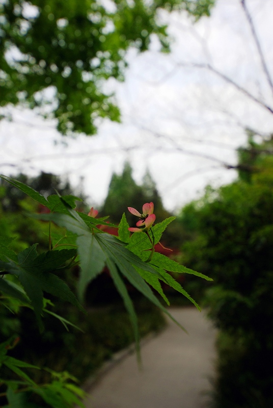 SG100914.JPG